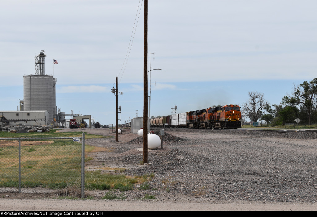 BNSF 8036/6754/1031